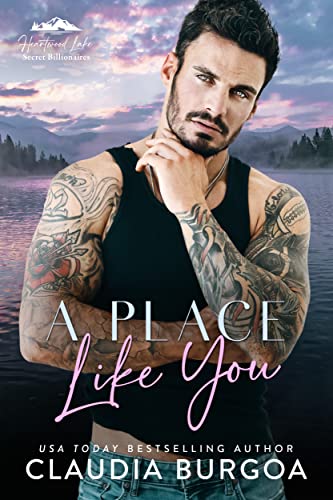 A Place Like You book cover