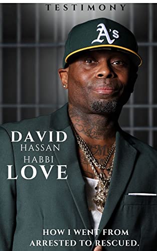 How I Went from Being Arrested to Being Rescued audiobook cover