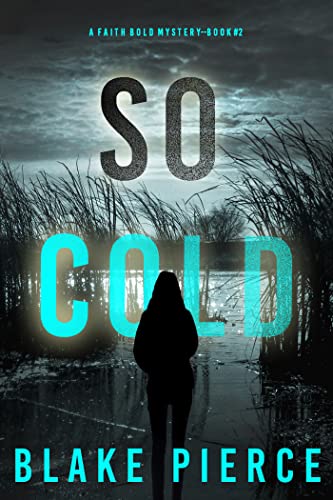 So Cold book cover