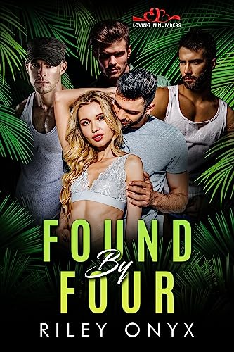 Found by Four (By: Riley Onyx) cover