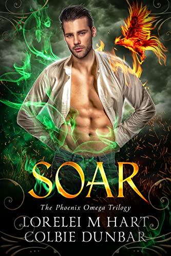 Soar book cover