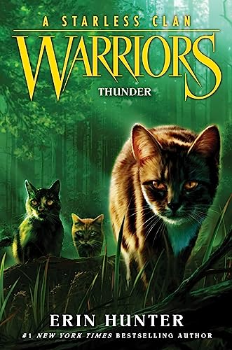 Thunder book cover