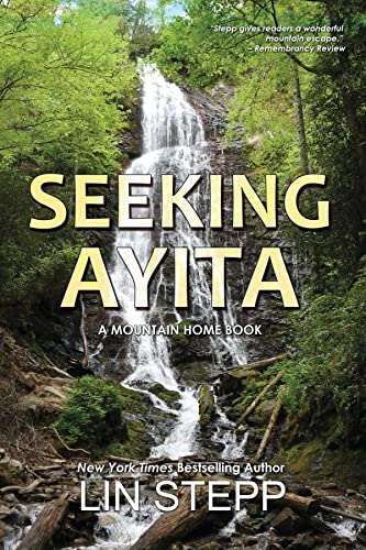 Seeking Ayita cover