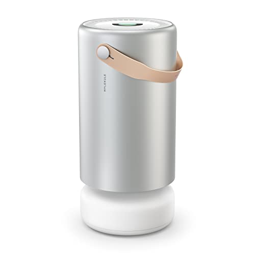 Molekule Air Pro Air Purifier - Purifies Rooms Up to 1000 Sq Ft with High Foot Traffic - FDA Cleared for Destruction of Viruses, Bacteria & Mold - Silver