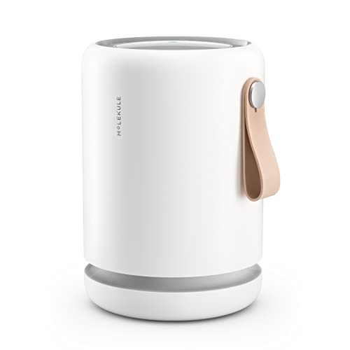 Molekule Air Purifier Mini+ - Purifies Rooms Up to 250 Sq Ft - Smart Purifier with High Pollutant Capture Rate - Air Quality Monitoring Capabilities - White