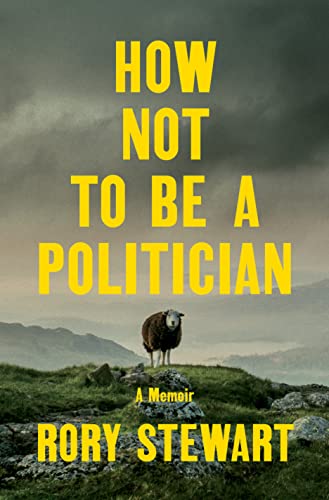 How Not to Be a Politician book cover