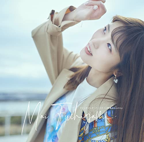 ファンタジック・パートナー / 終焉のDestiny jacket from amazon