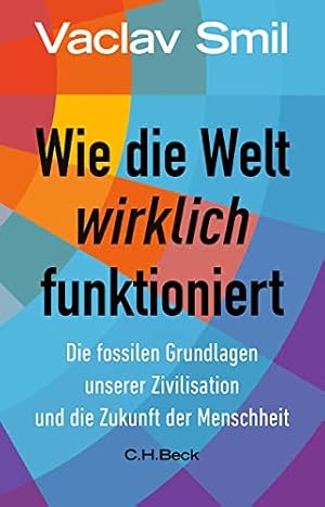 Die Entstehung der Wirklichkeit: Eine Einführung in die Erkenntnistheorie Markus Gabriel
