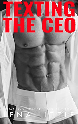 Texting The CEO book cover