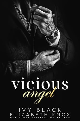 Vicious Angel book cover
