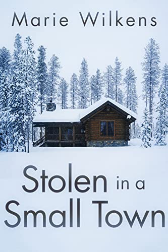 Stolen in a Small Town book cover