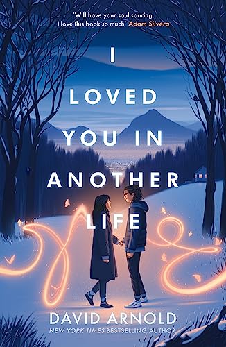 I Loved You In Another Life book cover