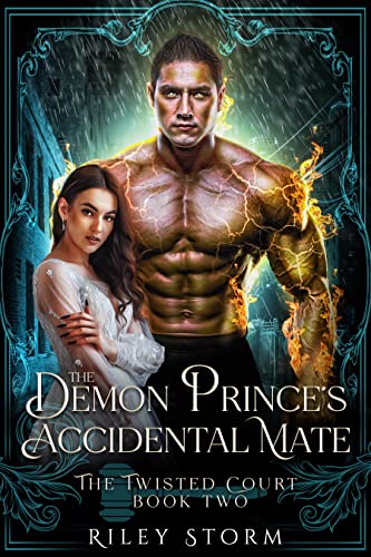 The Demon Prince's Accidental Mate book cover