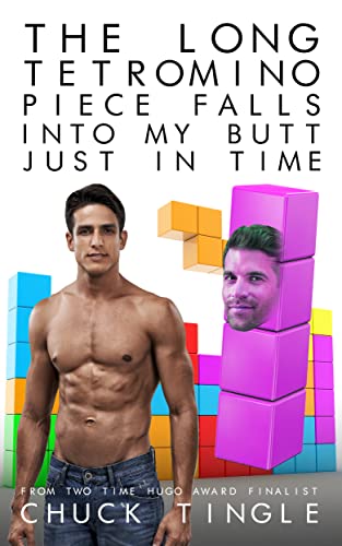 The Long Tetromino Piece Falls Into My Butt Just In Time book cover