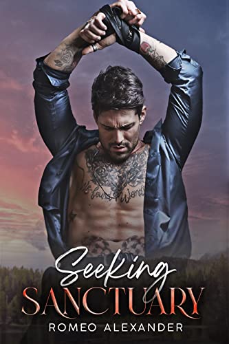 Seeking Sanctuary book cover
