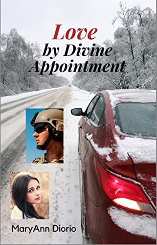 Love by Divine Appointment book cover