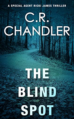 The Blind Spot cover