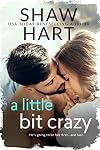 A Little Bit Crazy (Knight Security Book 1)