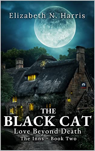 The Black Cat book cover