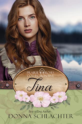 Tina book cover