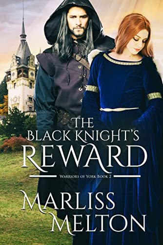 The Black Knight's Reward book cover