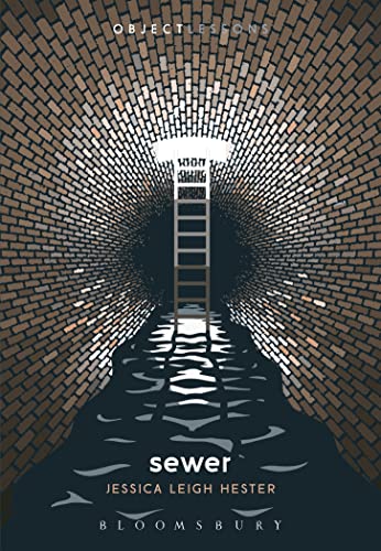 Sewer book cover