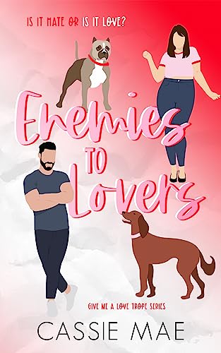 Enemies to Lovers book cover