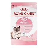 Royal Canin Feline Health Nutrition Mother & Babycat Queen Dry Cat Food, 6 lb Bag