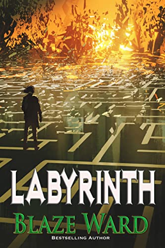 Labyrinth book cover