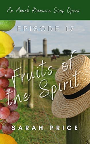 Episode 17 book cover