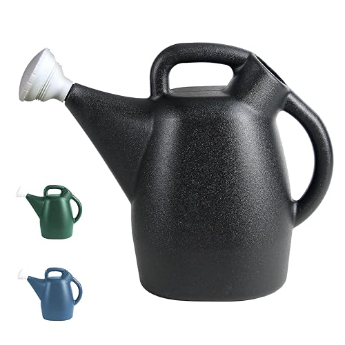 Chapin 47998: 2 Gallon Watering Can for Indoor & Outdoor Plants, 100% Recycled Plastic with Removable Nozzle, Drip-Free Sprinkler Head, Made in USA