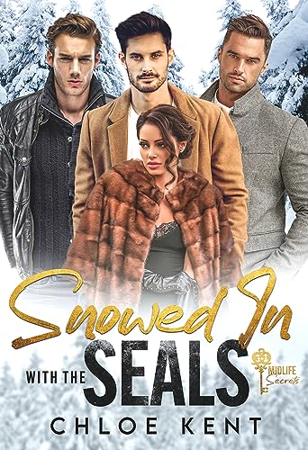 Snowed in with the SEALs book cover