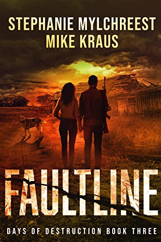 Faultline book cover