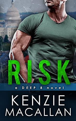 Risk book cover