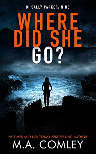 Where Did She Go? book cover