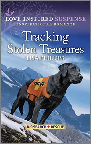 Tracking Stolen Treasures book cover