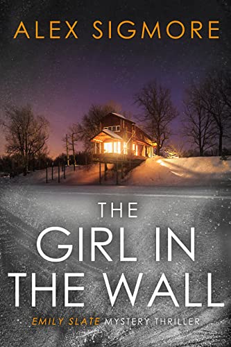 The Girl In The Wall book cover