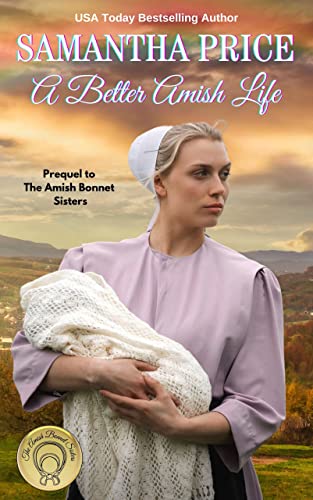 A Better Amish Life book cover