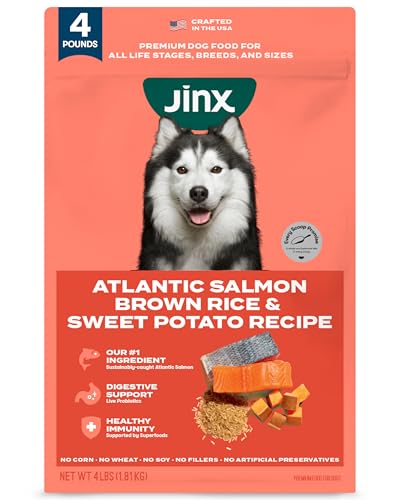 Jinx Premium Dry Dog Food, for All Life-Stages - Real Salmon, Brown Rice & Sweet Potato Kibble with Superfoods for Immune Support & Probiotics for Digestive Support - No Fillers – 4lb