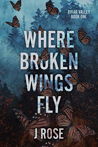 Where Broken Wings Fly book cover