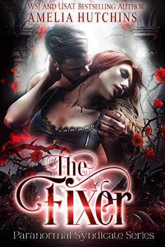 The Fixer book cover