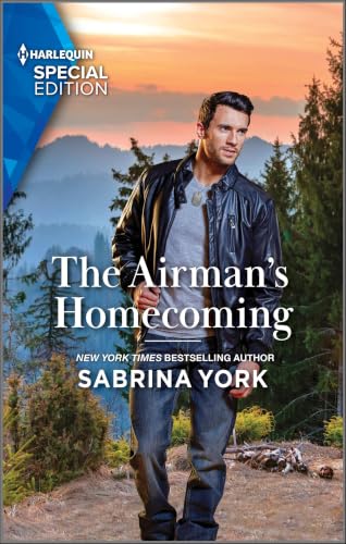 The Airman's Homecoming book cover