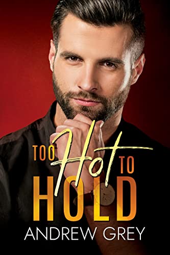 Too Hot to Hold: An MM Romance book cover
