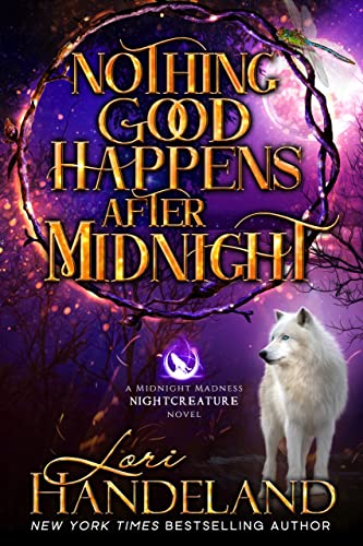 Nothing Good Happens After Midnight book cover