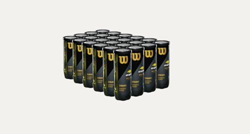 WILSON US Open Tennis Balls - Extra Duty, 24 Can Case (72 Balls)