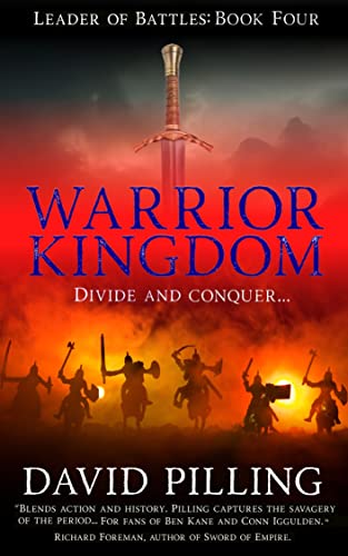 Drystan / Warrior Kingdom book cover