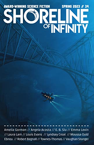 Shoreline of Infinity 34: Science Fiction Magazine cover