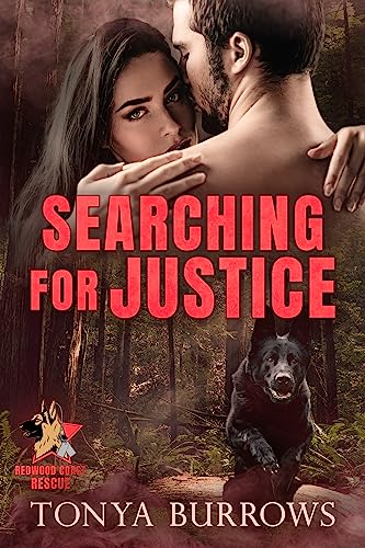 Searching for Justice book cover