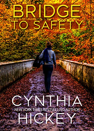 Bridge to Safety cover