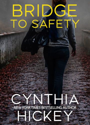 Bridge to Safety book cover